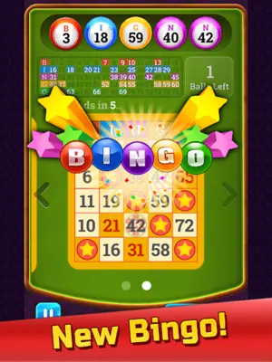 New Bingo android App screenshot 1